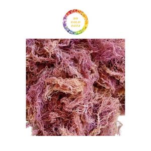 Oferta caliente Eucheuma Cottonii Sea Moss Wild Harvest Organic Vietnam Algas secas para la fabricación de carragenina Oferta al por mayor - Product Image 4