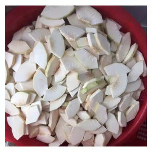 Rodajas de fruta de pan congelada 100 por ciento natural sin productos químicos Segmentos dulces de fruta de pan madura congelada para exportación - Product Image 3