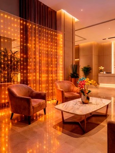 Guirnalda de Luces LED Navideñas Colgantes, 312 Bombillas, 3x2.4m, Iluminación Ambiental en Cascada, Decoración Multicolor, Clasificación IP44, Regulable - Product Image 4