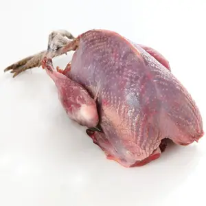 Canard entier congelé halal Pieds de canard et gésiers de canard congelés Boîte jaune Emballage de temps de style poulet Pcs alimentaire Caractéristique de cuisson Graisse