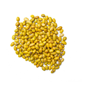 เมล็ดถั่วสีเหลืองสำหรับการซื้อจำนวนมากและขายปลีก - Product Image 1