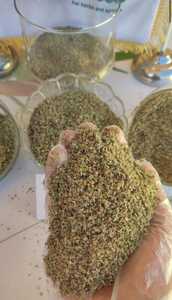 Hojas de marjolena secas de primera calidad |   Corte Natural Secado al Aire |   Hierbas de Exportación de Alta Calidad, 99.99% de Pureza, Empaque Personalizado, 24 Meses de Duración - Product Image 2