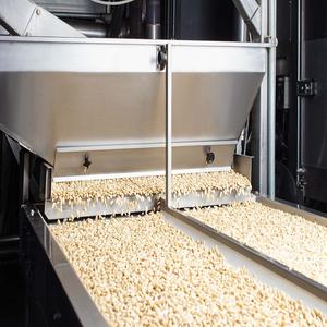 Almendras plateadas blanqueadas secas de alta calidad para uso alimentario - Product Image 1