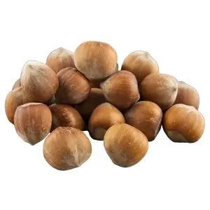 Hương vị tự nhiên chất lượng Blanched Hazelnut/Hạt Phỉ ở mức giá thấp