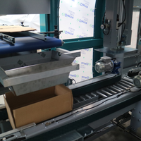 Encartonneuse verticale automatique DOM Emballeuse de caisse à chargement par le haut pour les cartons alimentaires et non alimentaires RSC/HSC Made in Italy