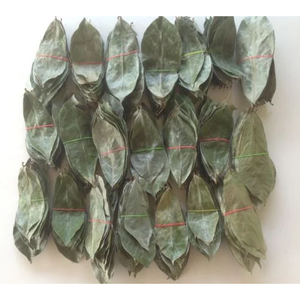 HOJAS DE SOURSOP SECAS | Wildcrafted, recogidas a mano | Annona Muricata - Product Image 3