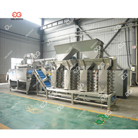 Ligne de production automatique de poudre d'ail Machines de traitement de l'ail