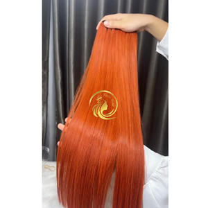 Genius trame couleur chaude 16 pouces extensions de cheveux humains bruts de haute qualité cuticule alignée frontale vietnamienne 8 pouces prix de gros - Product Image 1