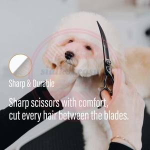 Cisailles incurvées professionnelles pour animaux de compagnie \ Ciseaux incurvés de toilettage en acier inoxydable personnalisés pour chiens, chats et animaux de compagnie - Product Image 5