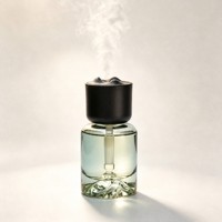 Mini Diffuseur d'Arômes de Luxe en Verre avec Couvercle Montagne, Humidificateur Portable pour Maison, Bureau, Voiture, Parfum Longue Durée