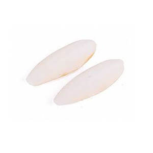 Os de seiche en os de seiche séché naturel pour oiseaux Source de vente en gros de haute qualité disponible maintenant - Product Image 2