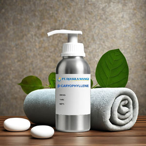 เบต้าคาริโอฟิลลีน 1 กก. สารประกอบกลิ่นหอมธรรมชาติจากเมล็ดพืช สำหรับปรุงแต่งรสชาติและกลิ่นหอม พร้อมกลิ่นหวานและกลิ่นไม้ - Product Image 2