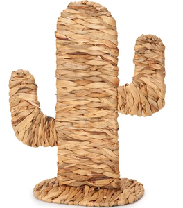 2025 superventas tejido a mano jacinto de agua CACTUS decoración de la habitación precio al por mayor - Product Image 5