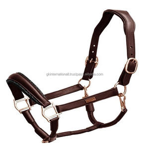 Personalized <b>Name</b> <b>Plate</b> Anatomically Designed Havana Brown Padded Leather <b>Horse</b> Halter with Solid Brass Buckle and Rings - Product Image 1