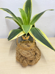 Bola de fibra de coco de muy alta calidad, juguetes para masticar perros de fibra de coco, Bola de juguete para masticar fibra de coco para perros de Vietnam - Product Image 4