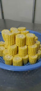 Maíz congelado al por mayor de Vietnam con sabor dulce y textura perfecta para aplicaciones de cocina - Product Image 2