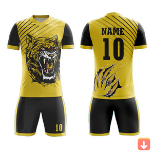 Uniformes de Fútbol Personalizados al por Mayor, Camisetas de Fútbol Unisex de Francia, Impresas, 100% Poliéster, Secado Rápido, Transpirables, para Adultos, OEM - Product Image 3