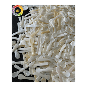 Cucharas de concha de nácar de calidad superior: cuchara de caviar asequible y lujosa, regalo único y significativo de Vietnam - Product Image 3