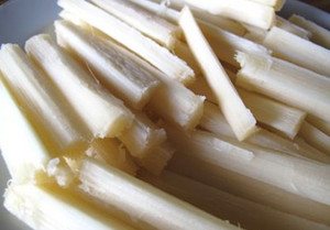 ซัพพลายเออร์ของบาร์อ้อยปอกเปลือกแห้งสำหรับชาสมุนไพรที่มีคุณภาพที่สมบูรณ์แบบในเวียดนาม - Product Image 2