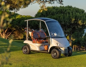 Voiture de golf électrique à 4 places, design unique et dernier cri 2025, pour la chasse, avec batterie au lithium 48V - Product Image 1