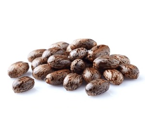 Graines de ricin naturelles de haute qualité - Vente en gros Origine CA Durée de conservation 1 an Prix - Product Image 4