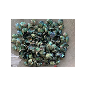 Natural <b>abalone</b> <b>shell</b> for bathroom decoration, supplied to spa hotels wholesale, durable, environmentally friendly - Product Image 1