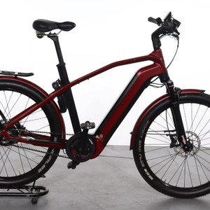 MEJOR OFERTA Venta de Fábrica 2025-2026 Bicicleta Eléctrica de Trekking Endeavour 7.B con Correa, Todos los Tamaños de Cuadro y Colores, Lista para Envío Mundial - Product Image 1