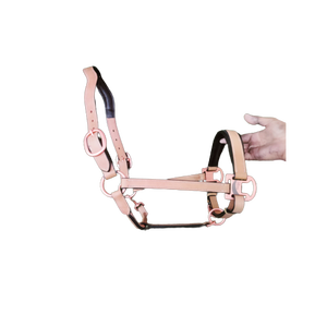 Qualité supérieure Fait à la main Fantaisie Tressé Rembourré Choco Marron Couleur Cuir Cheval Halter Havana Avec Double Couronne Boucles - Product Image 3