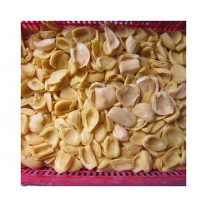 Fruit du jacquier congelé du Vietnam pour l'exportation en gros idéal pour les desserts smoothies et les recettes végétaliennes - Product Image 2