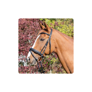 Équipement équestre en gros : Bride de cheval, pièces et accessoires de bride de cheval portables - Product Image 5