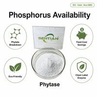 Poudre d'enzyme phytase de qualité alimentaire 10000 U/g pour l'alimentation des volailles et des porcs
