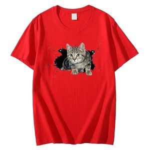 เสื้อยืดแขนสั้นสำหรับผู้ชายเสื้อยืดพิมพ์ลาย3D 8สี100% ผ้าคอตตอนพิมพ์ลายโลโก้แบบกำหนดเอง - Product Image 2