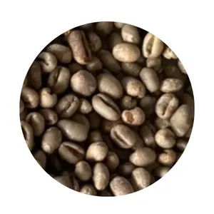 Arabica Catimor Low Price Wholesale Organic Customized Logo Green Coffee Beans Made In Vietnamese Manufacturer