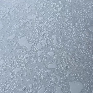 Recubrimiento impermeable sin curado de alta calidad para soluciones confiables a problemas comunes de intrusión de agua - Product Image 1