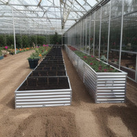 OEM ODM Légères jardinières surélevées en acier galvanisé pour légumes, montage facile, durables, pour l'extérieur et la maison, grands bacs à fleurs
