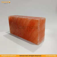 Élégantes tuiles de sel rose de l'Himalaya naturel 20x10x5 cm, sculptées, pour la décoration murale des salles de spa, nouvelle technique, sel Demaro.