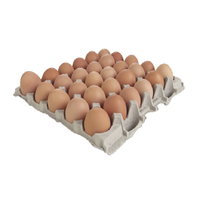 Œufs de poule fertiles à couver et œufs de table frais (bruns/blancs) avec jaunes d'œufs de caille