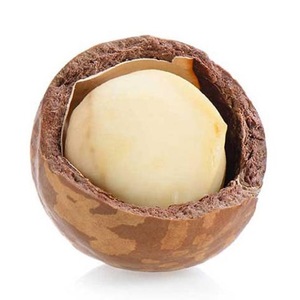 เม็ดแมคคาเดเมียดิบพรีเมียม สดใหม่จากธรรมชาติ - Product Image 5