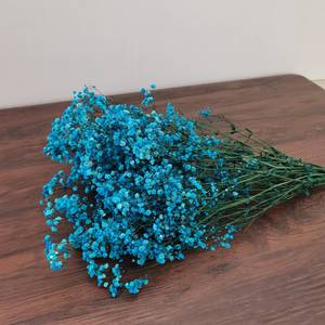 Bouquet de gypsophile artificiel coloré vintage, fleurs de souffle de bébé conservées, fleurs séchées de couleur blanche, tiges de respiration de bébé - Product Image 4