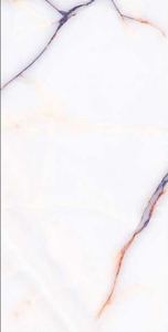 Cerámica de superficie especial modelo Evergreen y fabricación de porcelana en India para Villa Grande de lujo. - Product Image 3