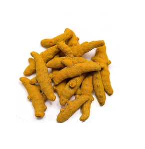 "Dedos de cúrcuma asequibles a la venta, cúrcuma fresca y de alta calidad a granel para venta al por mayor y al por menor" - Product Image 1