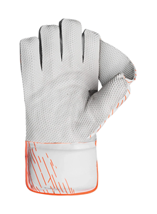 ถุงมือคริกเก็ตแบบวิคเก็ตคีปเปอร์ ดีไซน์ปรับแต่งได้ ประสิทธิภาพสูง ผลิตจากหนัง ทนทาน น้ำหนักเบา สีปรับแต่งได้พิเศษ - Product Image 3