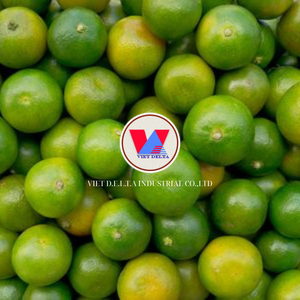 KUMQUAT ENTERO CONGELADO/ALTO CONTENIDO EN ACEITE DE CÍTRICOS/LISTO PARA MARCAS DE TÉ SMOOTHIES POSTRES Y EXPORTACIÓN A GRANEL DISTRIBUIDORES - Product Image 4