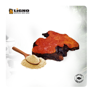 Malasia LiGNO AC07 Extracto de Antrodia, Suplemento para el Apoyo Inmunológico y del Hígado, Nutracéutico Funcional, OEM ODM Listo, Polvo Natural - Product Image 1