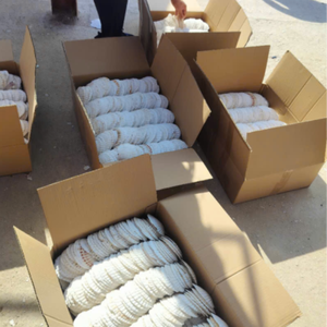 COQUILLES DE MER NATURELS POUR LA DÉCORATION DE JARDIN ET DE PAYSAGE - Product Image 3