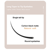 DIYDAY YY 2D 0.07 Extensions de cils individuels noirs et bruns, matériau PBT, cils naturels, étiquette privée, vente en gros