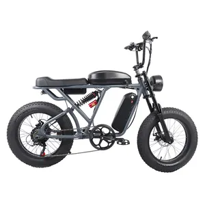 NS5 E-Bike Neues Design Fett Ebike Elektromotor Elektro fahrrad Chinesischer Verkauf Elektro fahrrad Gebraucht Elektro fahrrad Kit 500w