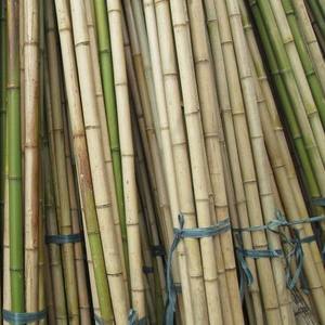 Poteaux de bambou Nature Poteaux de bambou brut Poteau droit Bambou du Vietnam - Product Image 4