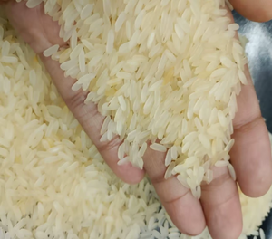 ข้าวสารคุณภาพส่งออก ออร์แกนิค ข้าวขาวเนื้อนุ่ม เมล็ดยาว ข้าวที่มีเมล็ดแตก 0.5% - Product Image 6