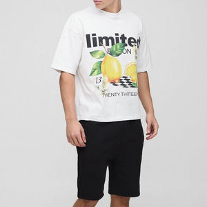 2025 Summer <b>Men's</b> Casual Fashion 2-Piece <b>Set</b> <b>Short</b> Sleeve T-Shirt & <b>Shorts</b> with Printing Pattern - Product Image 2